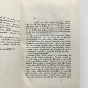 K domovu pohleď, anděle!, Thomas Wolfe