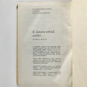K domovu pohleď, anděle!, Thomas Wolfe