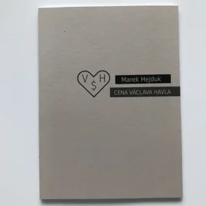 Cena Václava Havla, Marek Hejduk