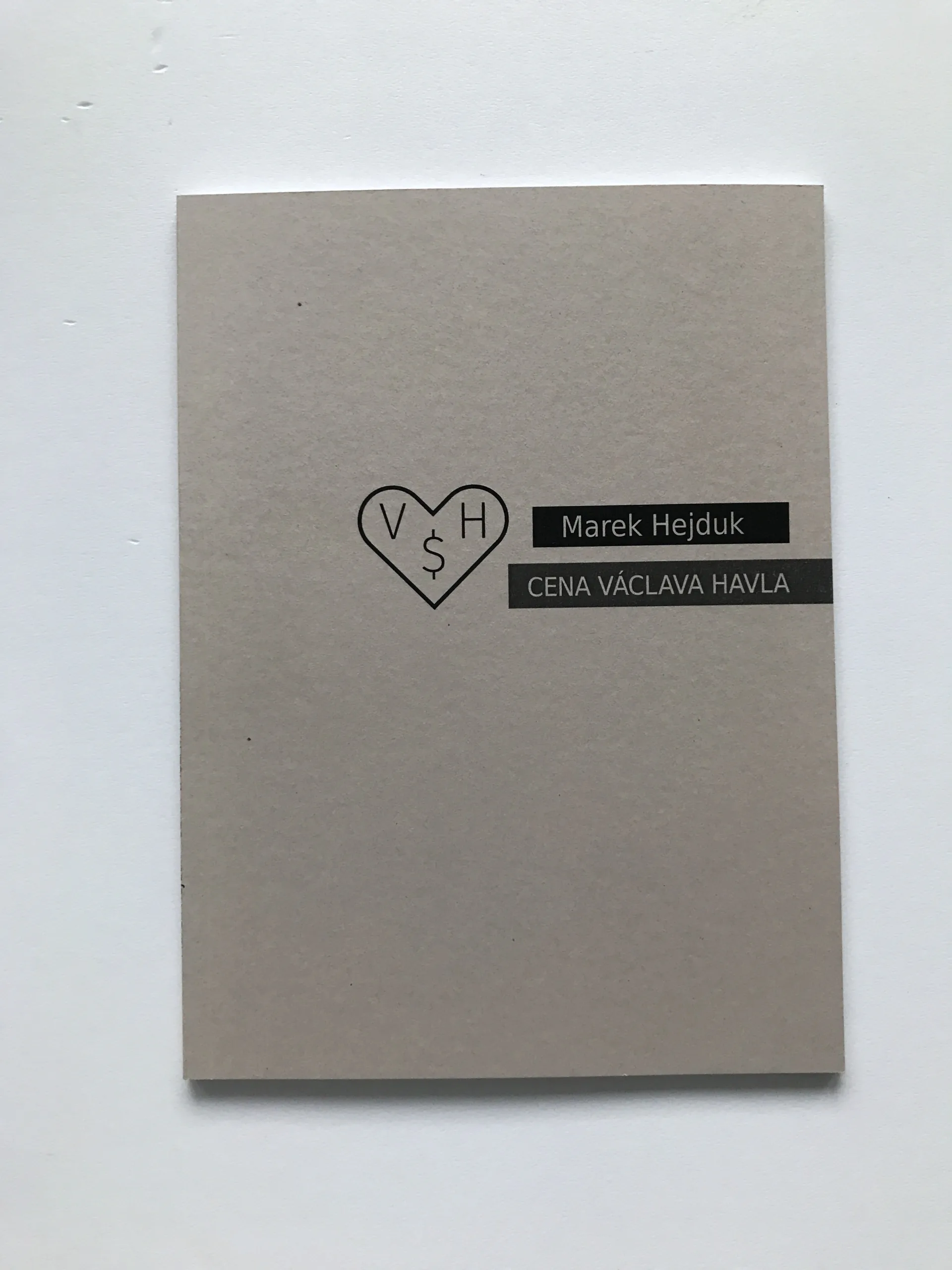 Cena Václava Havla, Marek Hejduk