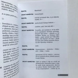 Cena Václava Havla, Marek Hejduk