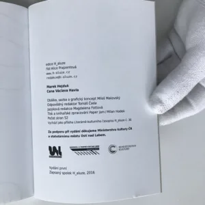 Cena Václava Havla, Marek Hejduk