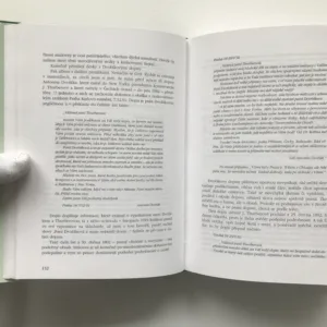 Novosvětská, Miroslav Ivanov