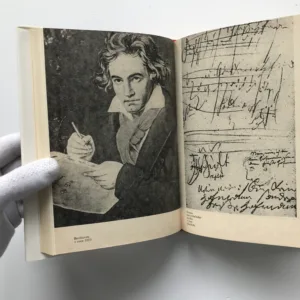 Sám proti osudu (Vyprávění o životě Ludwiga van Beethovena), Antonín Zhoř