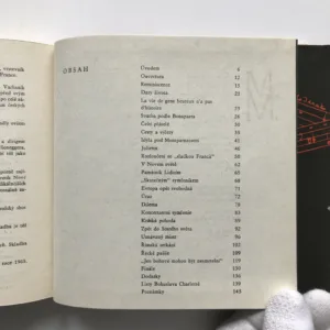 Můj život s Bohuslavem Martinů, Charlotta Martinů