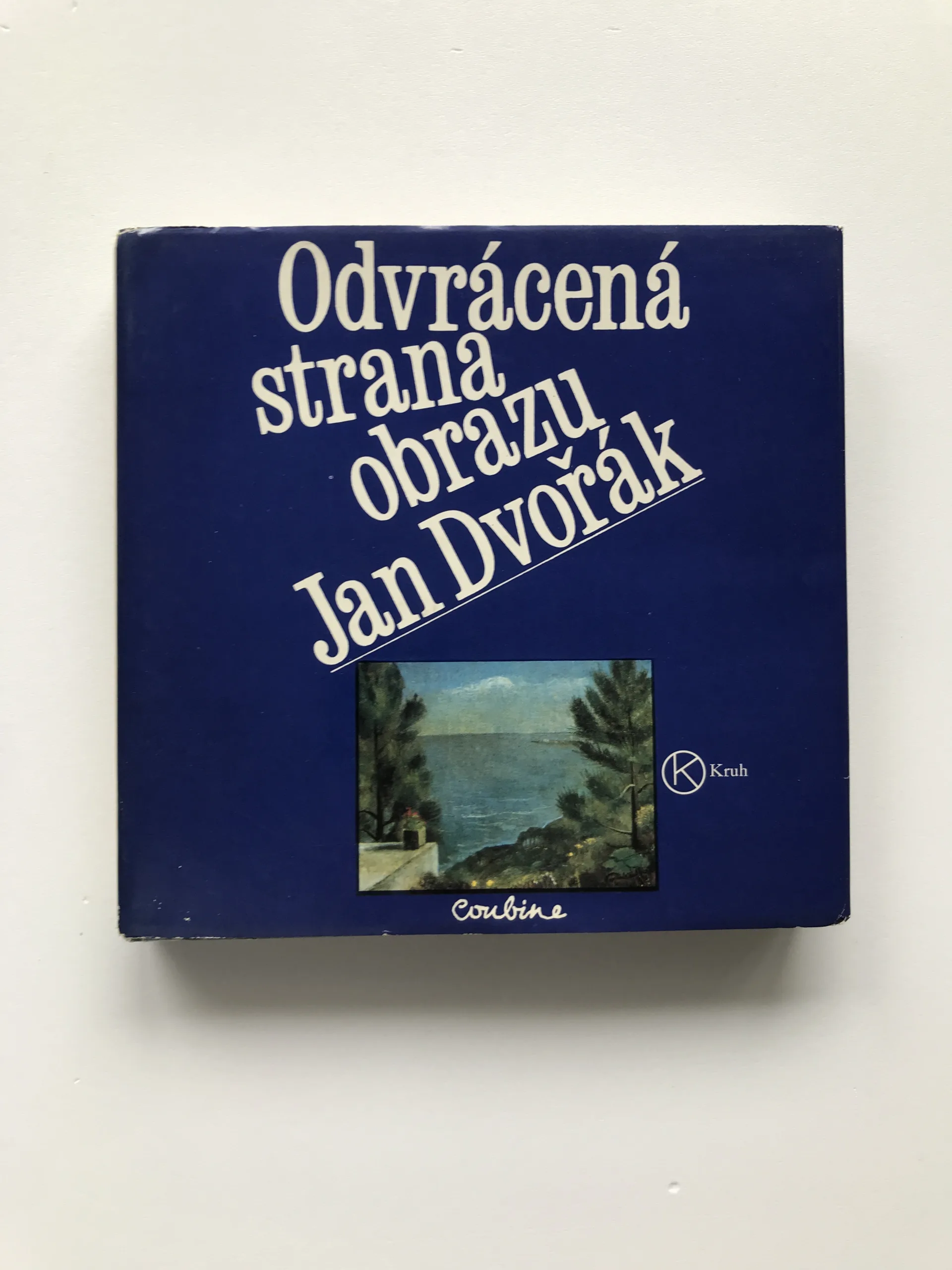 Odvrácená strana obrazu, Jan Dvořák