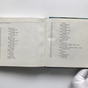 Odvrácená strana obrazu, Jan Dvořák