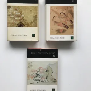 Sen v červeném domě 1-3, Cchao Süe-Čchin