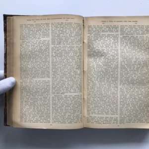 Dějiny národu českého v Čechách a v Moravě, František Palacký