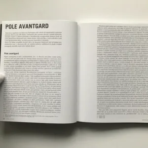 Gravitace avantgard (Imaginace a řeč avantgard v českých literárních textech první poloviny dvacátého století), Vladimír Papoušek