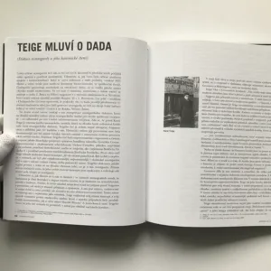 Gravitace avantgard (Imaginace a řeč avantgard v českých literárních textech první poloviny dvacátého století), Vladimír Papoušek