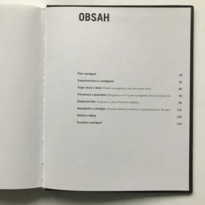 Gravitace avantgard (Imaginace a řeč avantgard v českých literárních textech první poloviny dvacátého století), Vladimír Papoušek