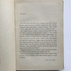 Hrdinové hor, Luis Trenker