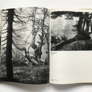 Svět hor, Jiří Havel