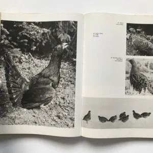 Československá myslivost, Robert Wolf