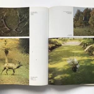 Československá myslivost, Robert Wolf