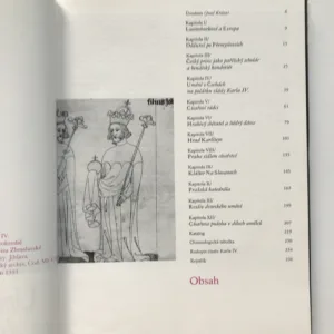 Umění na dvoře Karla IV., Karel Stejskal, Karel Neubert