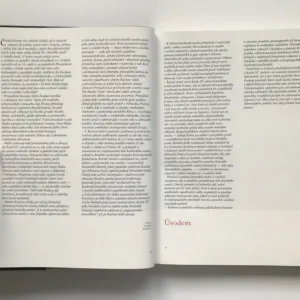 Umění na dvoře Karla IV., Karel Stejskal, Karel Neubert