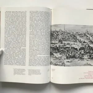 Umění na dvoře Karla IV., Karel Stejskal, Karel Neubert