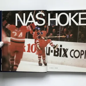 Náš hokej, Vladimír Dobrovodský, Stanislav Halásek