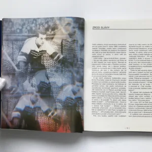 Náš hokej, Vladimír Dobrovodský, Stanislav Halásek