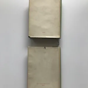 Dějiny české literatury 1+2, Jaroslav Vlček