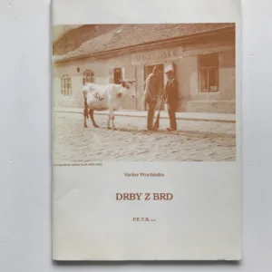 Drby z Brd I., Václav Procházka