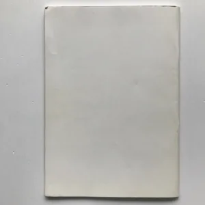 Drby z Brd I., Václav Procházka