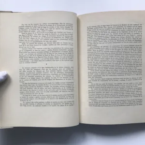 L'art Populaire en Roumanie, Dem Demetresco