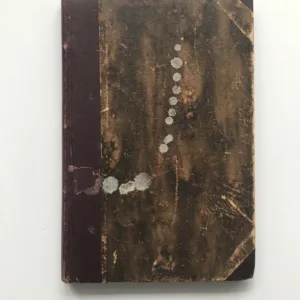 Německo, Rusko a otázka polská, Roman Dmowski, Jaroslav Rozvoda