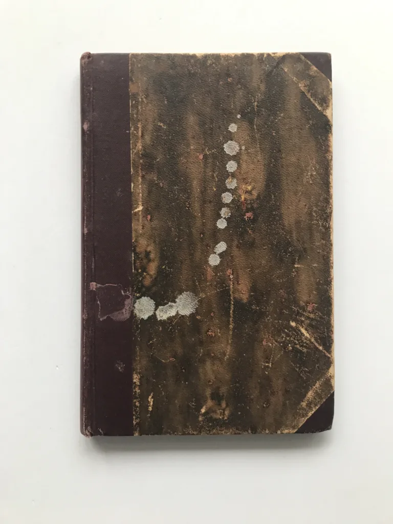 Německo, Rusko a otázka polská, Roman Dmowski, Jaroslav Rozvoda