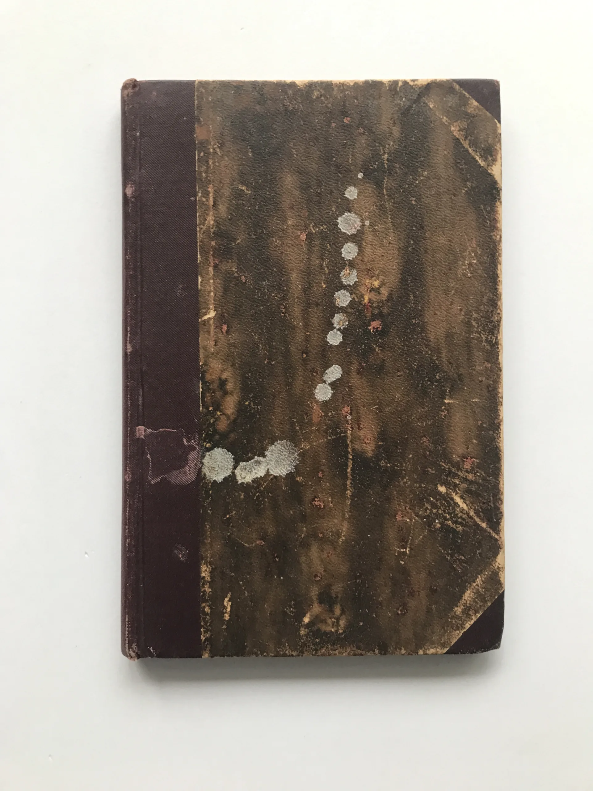 Německo, Rusko a otázka polská, Roman Dmowski, Jaroslav Rozvoda