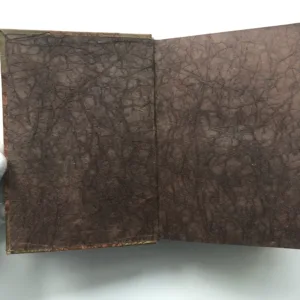 Marie Magdaléna, Gustaw Danilowski