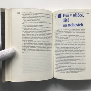 Svět podle Garpa, John Irving,