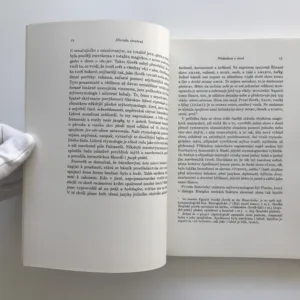 Abeceda stvoření (Komorní soubor mýtoetymologických esejů), D. Ž. Bor