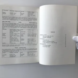 Abeceda stvoření (Komorní soubor mýtoetymologických esejů), D. Ž. Bor