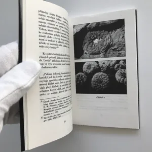 O kaktech a jejich narkotických účincích, Alberto Vojtěch Frič