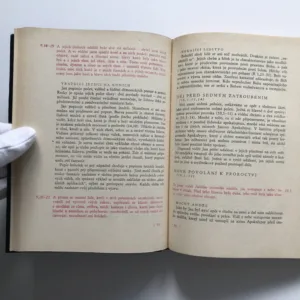 Průvodce Apokalypsou, Richard Scheuch