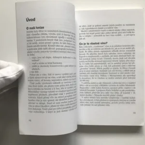 Vyrábíme domácí vína z hroznů, ovoce, šumivá, Volfgang Vogel