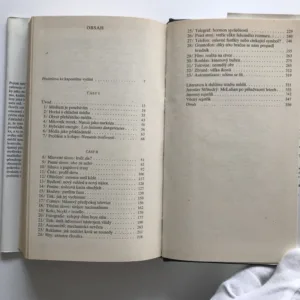 Jak rozumět médiím (Extenze člověka), Marshall McLuhan