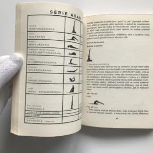 Jóga, André van Lysebeth