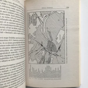 Zkáza Drážďan, David Irving