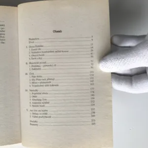 Zkáza Drážďan, David Irving