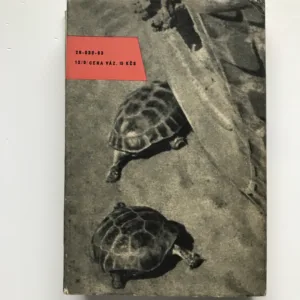 Kam zmizel kočovník, Václav Kubík