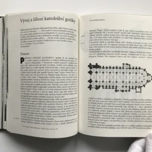 Svět gotické katedrály, Ernst Ullmann