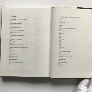 Svět gotické katedrály, Ernst Ullmann