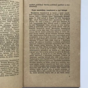 Mandelinka bramborová a ochranná opatření proti ní, B. Starý, A. Kac, Robek