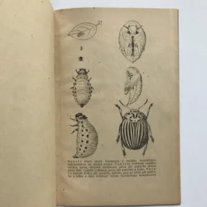 Mandelinka bramborová a ochranná opatření proti ní, B. Starý, A. Kac, Robek