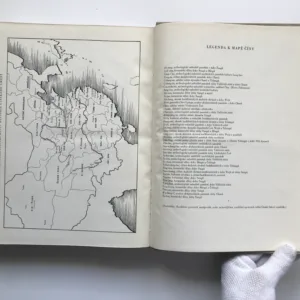 Čínské umění (O národní výtvarné tradici čínské), Lubor Hájek, Werner Forman