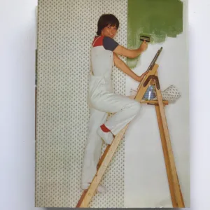 The Complete Home Handywoman, Dawn Marsden, Alan Morgan